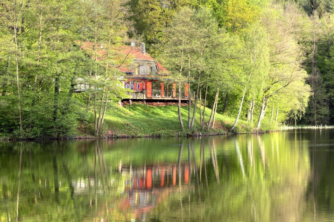 Ferienwohnungen & Campingfaesser Am Kunstteich Wettelrode Room photo